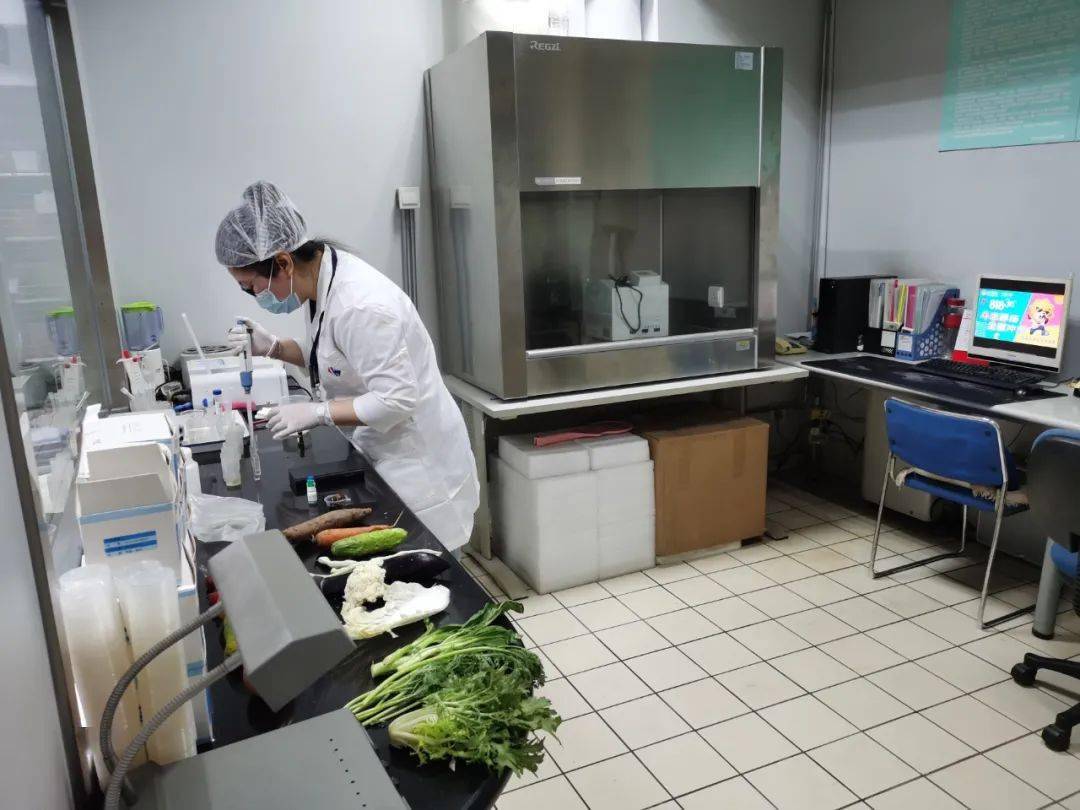 可克达拉食品检测实验室装修方案